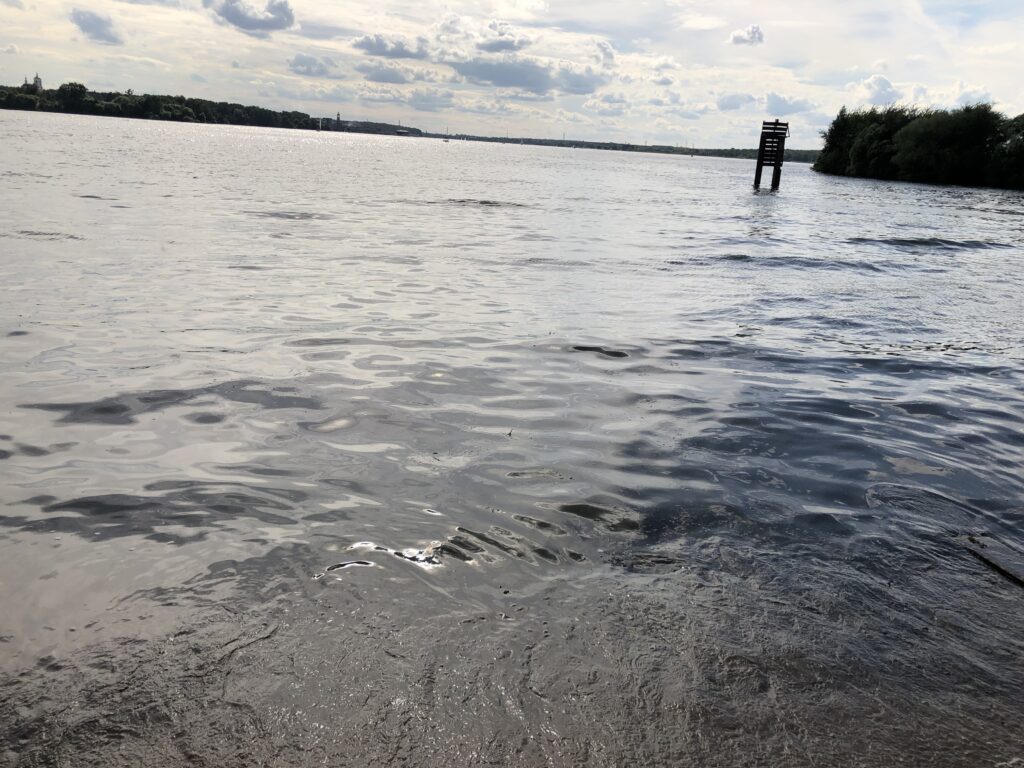 Клязьминское водохранилище - Мини ферма Страус